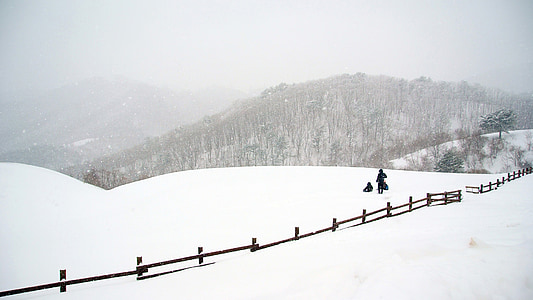 Klitschko, o no, k, neu, l'hivern, natura, muntanya