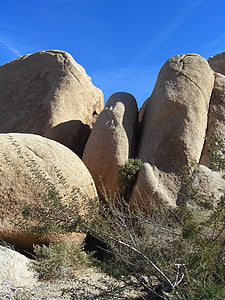 Joshua tree, nationaal park, Californië, Mojave-woestijn, Jumbo rotsen, reusachtige rotsen, vinger