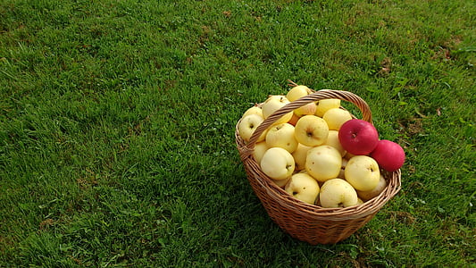 草, バスケット, りんご, フルーツ, 自然, 食品, アップル
