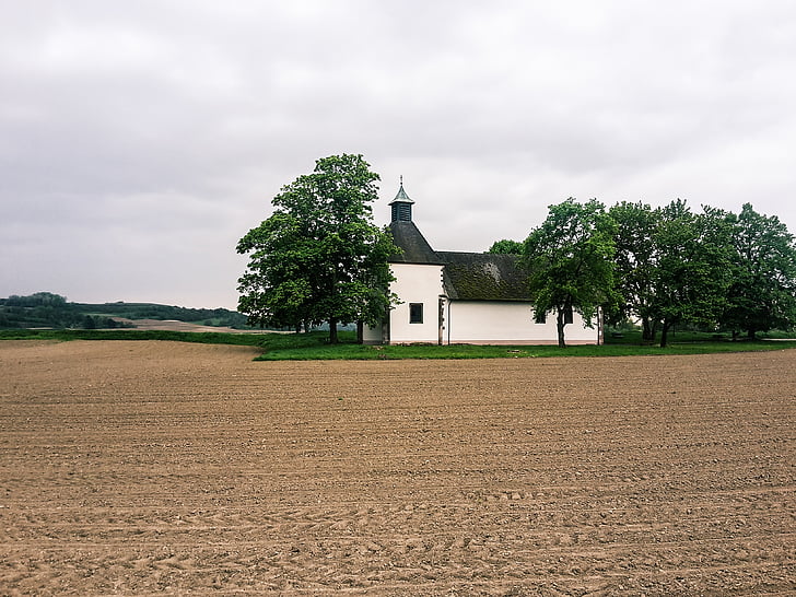 church, field, trees, kirchplatz, monastery, arable, ortenau