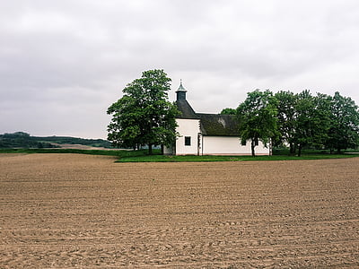kirik, väli, puud, Kirchplatz, kloostri, põllukultuuride, Ortenau
