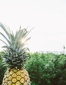 Lukk, Foto, ananas, frukt, anlegget, blad, tropisk klima