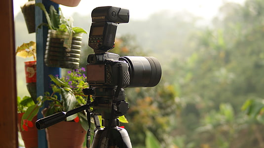 Natura, ludzie, zwierzęta, Quindio, Kolumbia, kamery - sprzęt fotograficzny, statyw