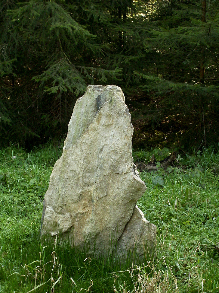 punt de referència, límit de terra, bosc madur països, pedra, Erzgebirge