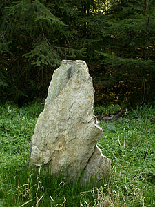 punt de referència, límit de terra, bosc madur països, pedra, Erzgebirge