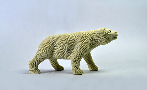 медведь, Прогулка, игрушка, значок, Фауна, Дикий, Белый