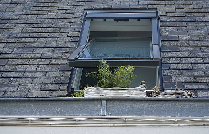 finestra, vidre, plantes, sostre, maons, formigó, casa