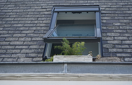 fenêtre de, verre, plantes, toit, briques, béton, maison
