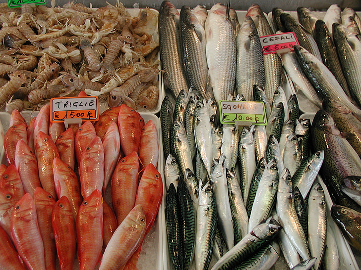 fiskmarknad, fiske, havet, vatten, färgglada, Italien