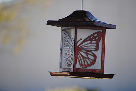 lampe, sommerfugl, symbol, magt, grøn, idé, design