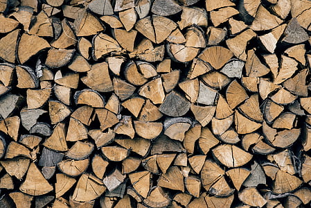 marrom, floresta, coleção, madeira, pilha de madeira, pilha, madeira