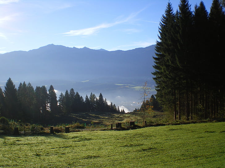hegyek, fa, természet, alpesi, Ausztria, Innsbruck, kirándulás