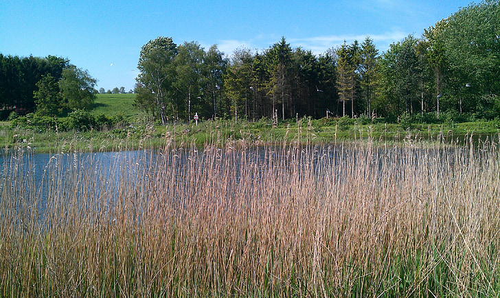 Весна, площадь болот, kværkeby