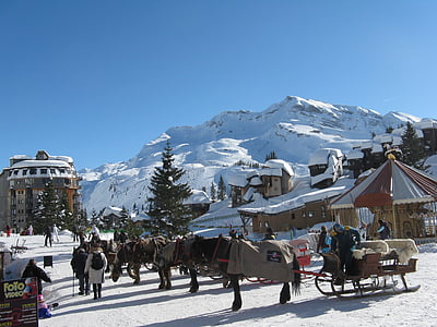 xe trượt, con ngựa, tuyết, Trượt tuyết, Ski, ngựa kéo, mùa đông