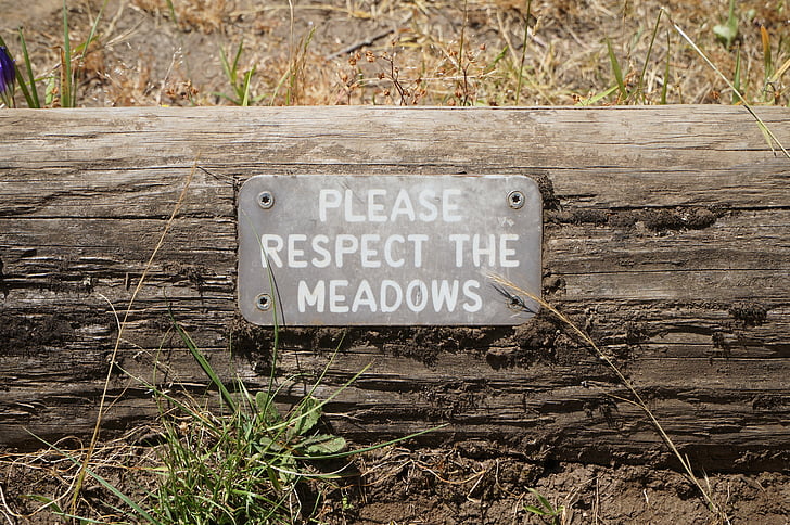 tanda, peringatan, alam, alam, jalan, padang rumput, Meadows