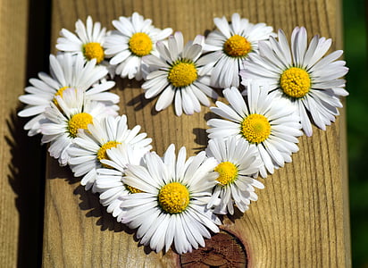 หัวใจ, ดอกไม้หัวใจ, ความรัก, วันวาเลนไทน์, อวยพร, สัญลักษณ์, บัตรอวยพร