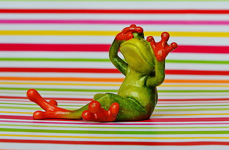 frog, figure, not see, funny, cute, fun, sit
