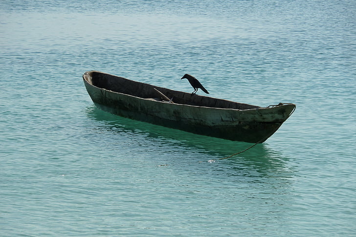 воды, лодки, мне?, озеро, утка, птица