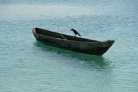 nước, tàu thuyền, tôi à?, Lake, vịt, con chim