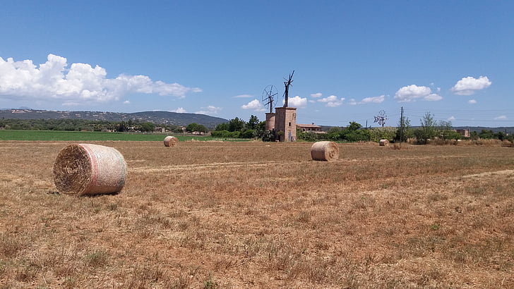 Ferriol, Mallorca, farma, zemědělství, Bale, seno, v lůně Titánů
