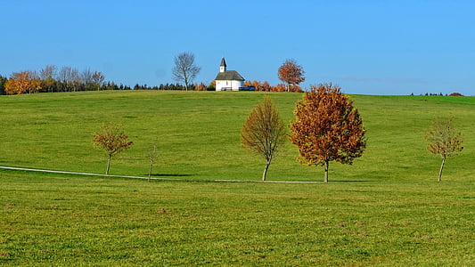 autumn, landscape, trees, chapel, meadow, field, nature