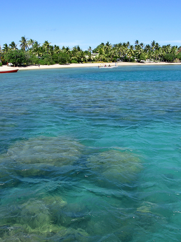 Fidschi-Inseln, Boot, Strand, Palmen, Urlaub, Traumurlaub, Reisen