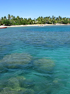 Fiji, önyükleme, plaj, palmiye ağaçları, tatil, rüya tatil, seyahat