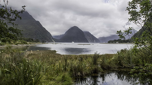 Милфорд звук, Южен остров, Нова Зеландия, вода, природата, пейзаж, планински