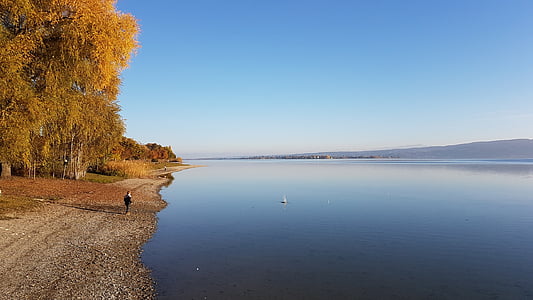 het Bodenmeer, water, Bank, natuur, herfst, reflectie, Lake