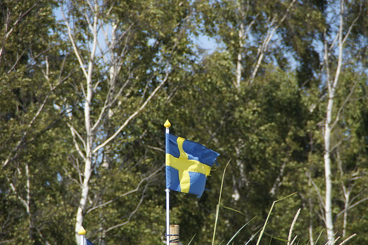 Beržas, Švedija, vėliava, Švedų, Švedijos vėliava