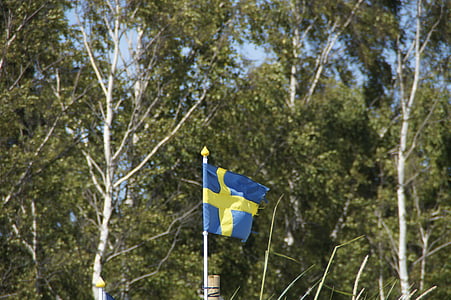 nyír, Svédország, zászló, svéd, svéd zászló