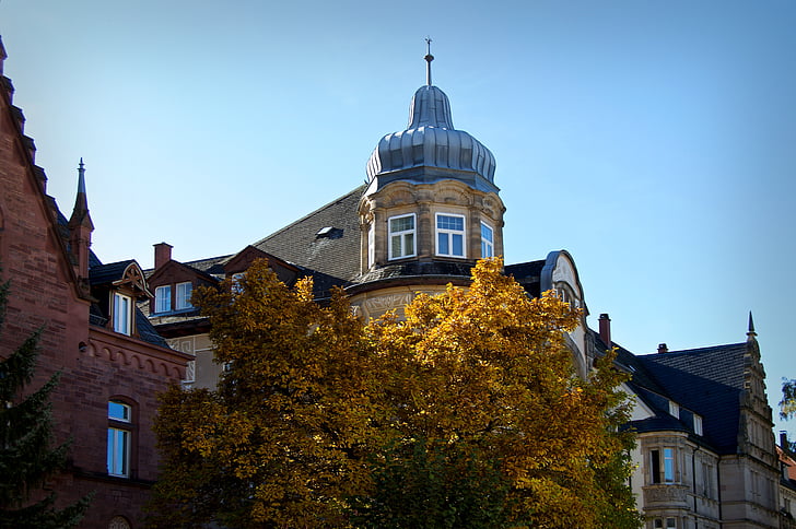Heidelberg, Weststadt, drzewo liściaste, jesień, pozostawia, światło słoneczne, ożywieniem