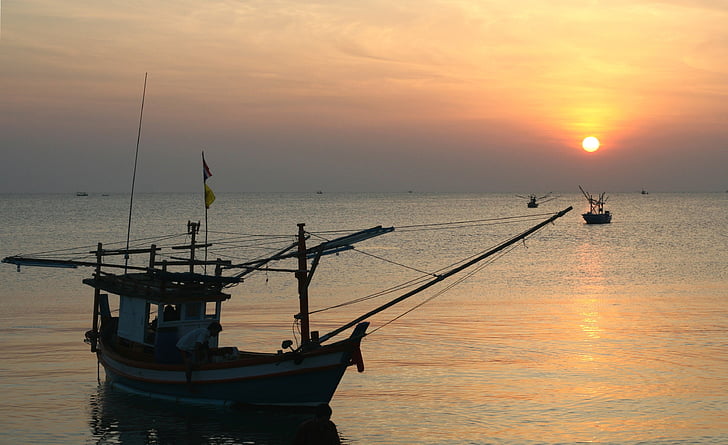 solopgang, fredelig, Serene, Harbor, Cove, båd, fiskekutter