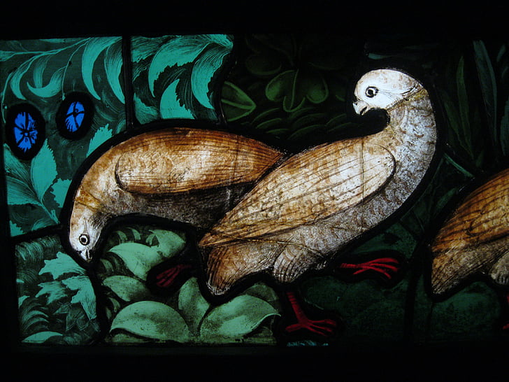 france, paris, musee de cluny, stained glass window, birds, nature, animal