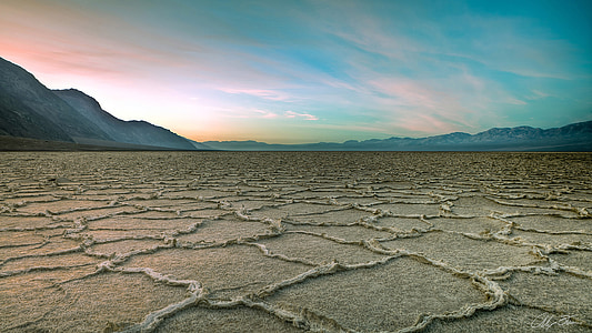 drought, arid, winter, desert, sand