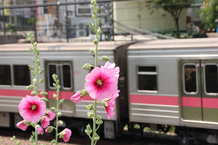 vlak, Subway, Kórejská republika, Kórea, Južná Kórea metra, preprava, železničná