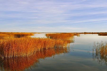 lake, water, sky, landscape, autumn, reeds, beauty
