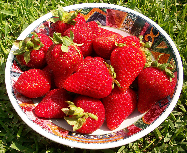 strawberries, berries, season, sweet, healthy, diet, organic