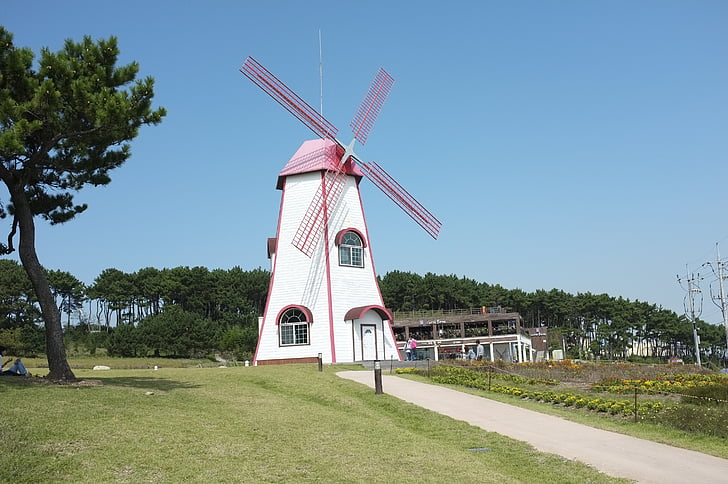havet, stranden, Windmill, Korea, Winter sea