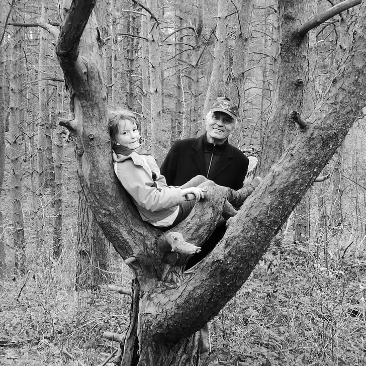 father, child, forest, tree outing, climbing, human, man