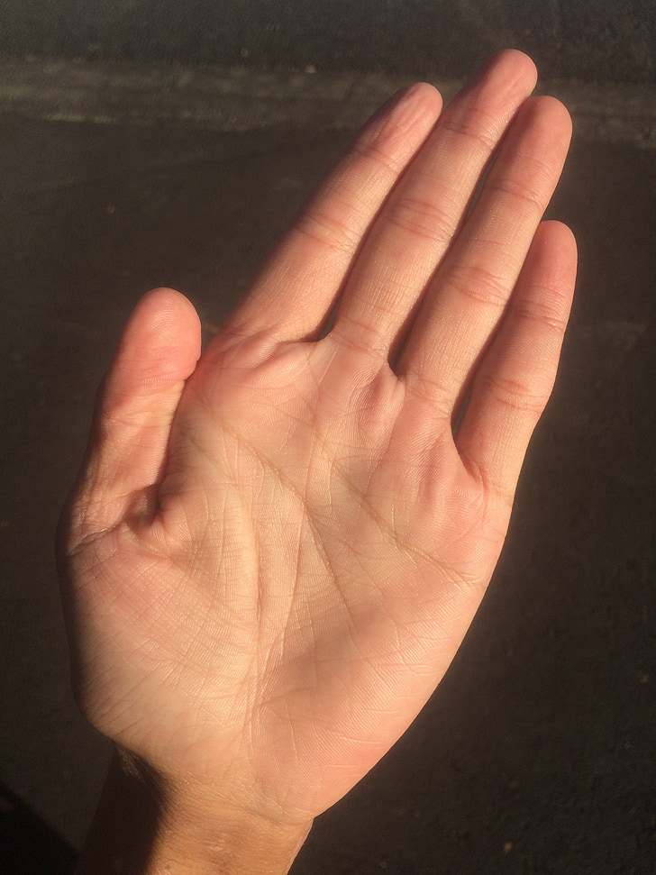 Palma, mano, dedo, de blanqueo, Palm reading, jóvenes, Japonés