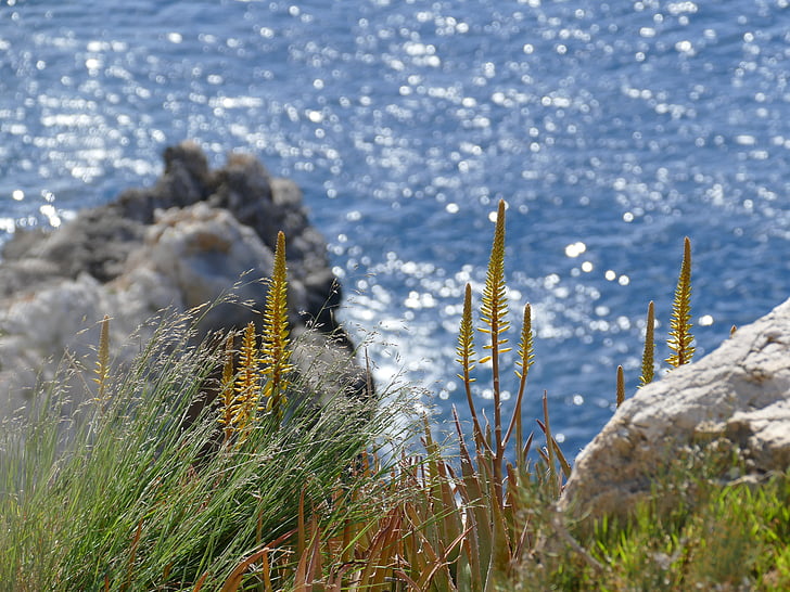 batu, alam, Mallorca, Mediterania, laut, liburan, air