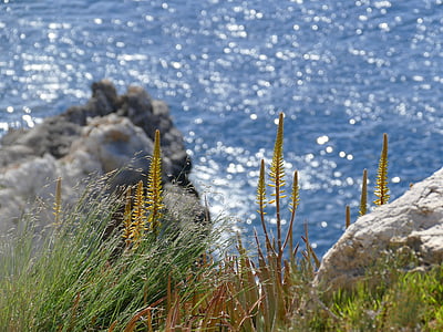 stijena, priroda, Mallorca, mediteranska, more, odmor, vode