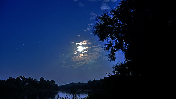 แม่น้ำ, แสงจันทร์, ฤดูร้อน, ธรรมชาติ, ต้นไม้, ทะเลสาบ, ป่า