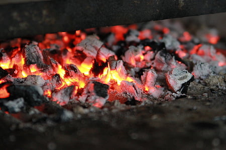 coals, fire, koster, firewood, burns, campfire, burn