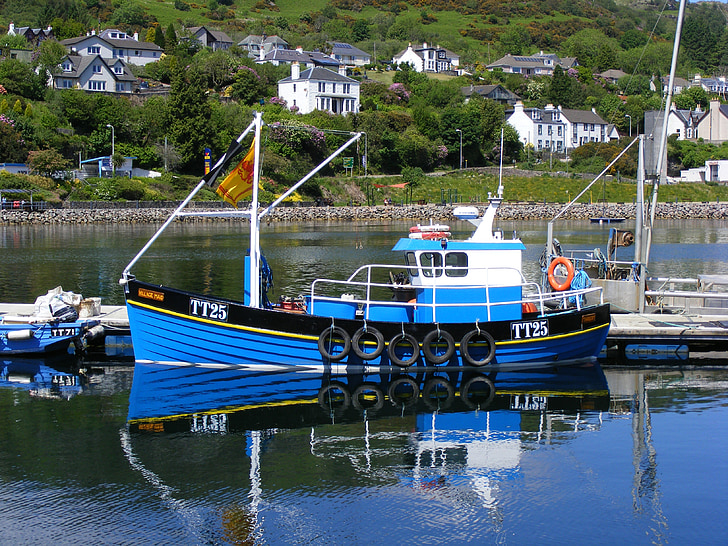 balıkçı teknesi, Tarbert, Loch fyne, liman, İskoçya, tekneler, yelken