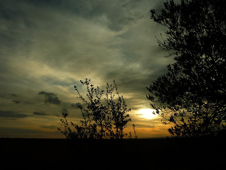 sunset, field, winter, landscape, backlight, olive, horizon