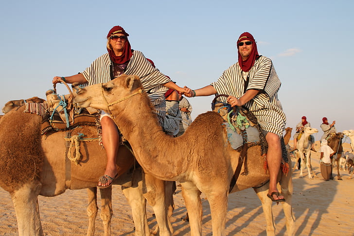 camelos, deserto, viagem, Árabe, areia, safári, Turismo