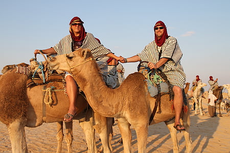 kamelen, woestijn, op reis gaat, Arabisch, zand, Safari, Toerisme