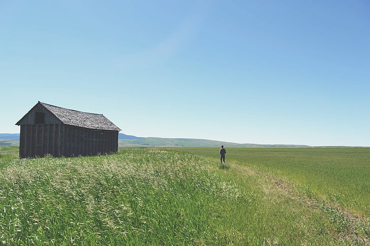 person, standing, middle, grass, field, grey, barnhouse